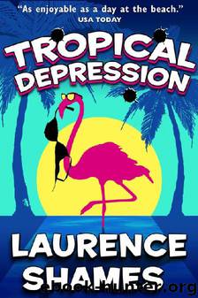 04 Tropical Depression by Laurence Shames