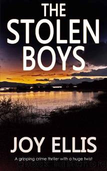 05 The Stolen Boys by Joy Ellis