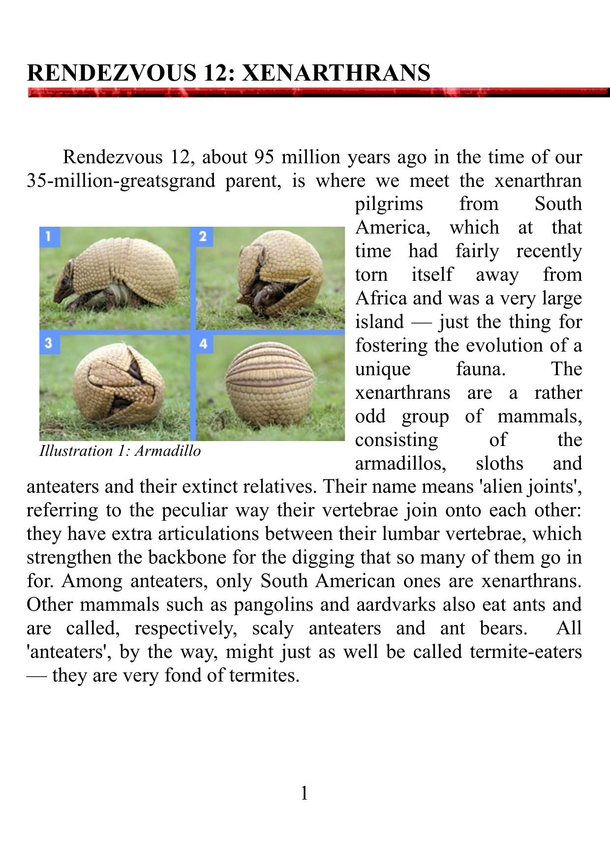 07 - Richard Dawkins - The Ancestor's Tale - Rendezvous 12 by Xenarthrans