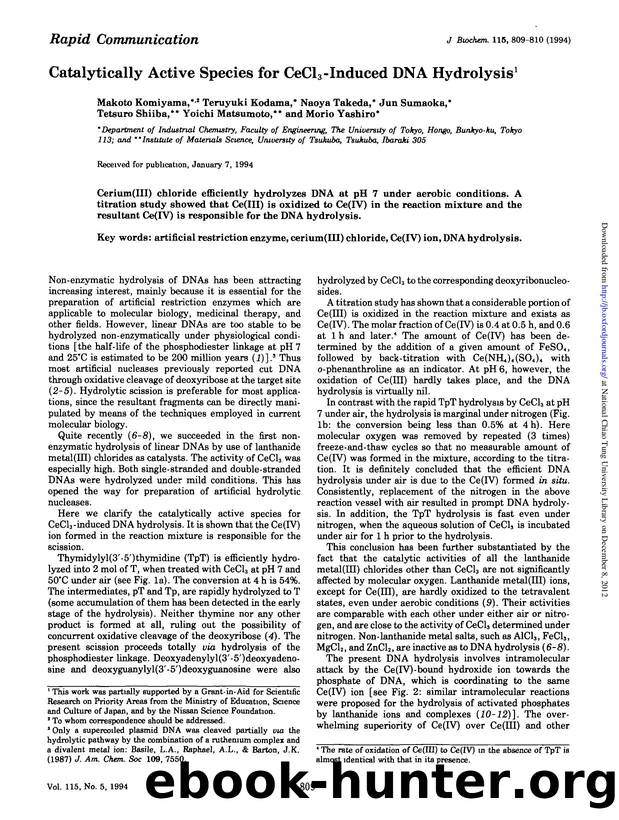 0809-0810 by Unknown