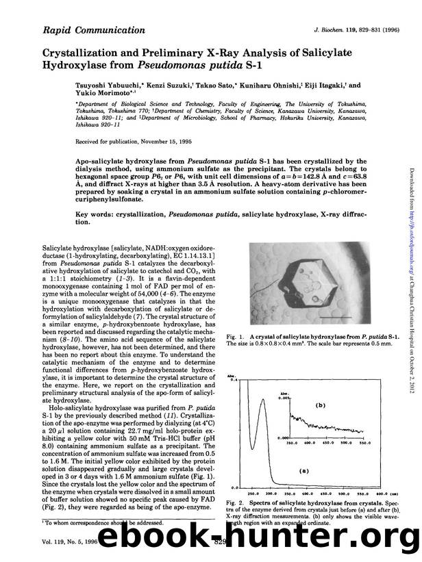 0829-0831 by Unknown