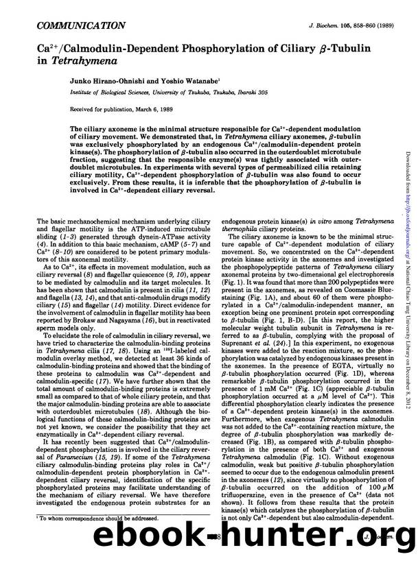 0858-0860 by Unknown