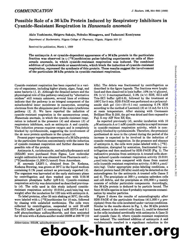 0864-0866 by Unknown