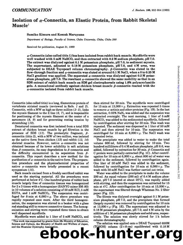 0952-0954 by Unknown