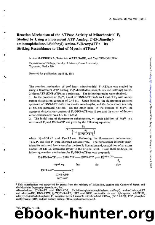 0967-0989 by Unknown