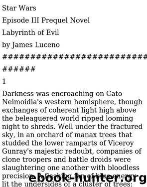 1 - labyrinth of evil by Unknown