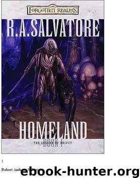 1 Dark Elf Trilogy 01 - Homeland by Salvatore R.A