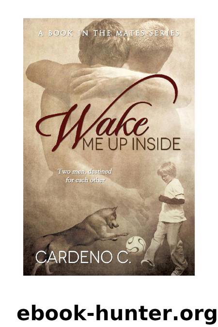 1 Wake Me Up Inside by Cardeno C