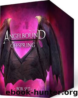 1-3 Angelbound Offspring Box Set: Books 1-3 of the Angelbound Offspring Series by Christina Bauer