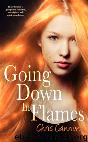 1-Going Down in Flames by Chris Cannon