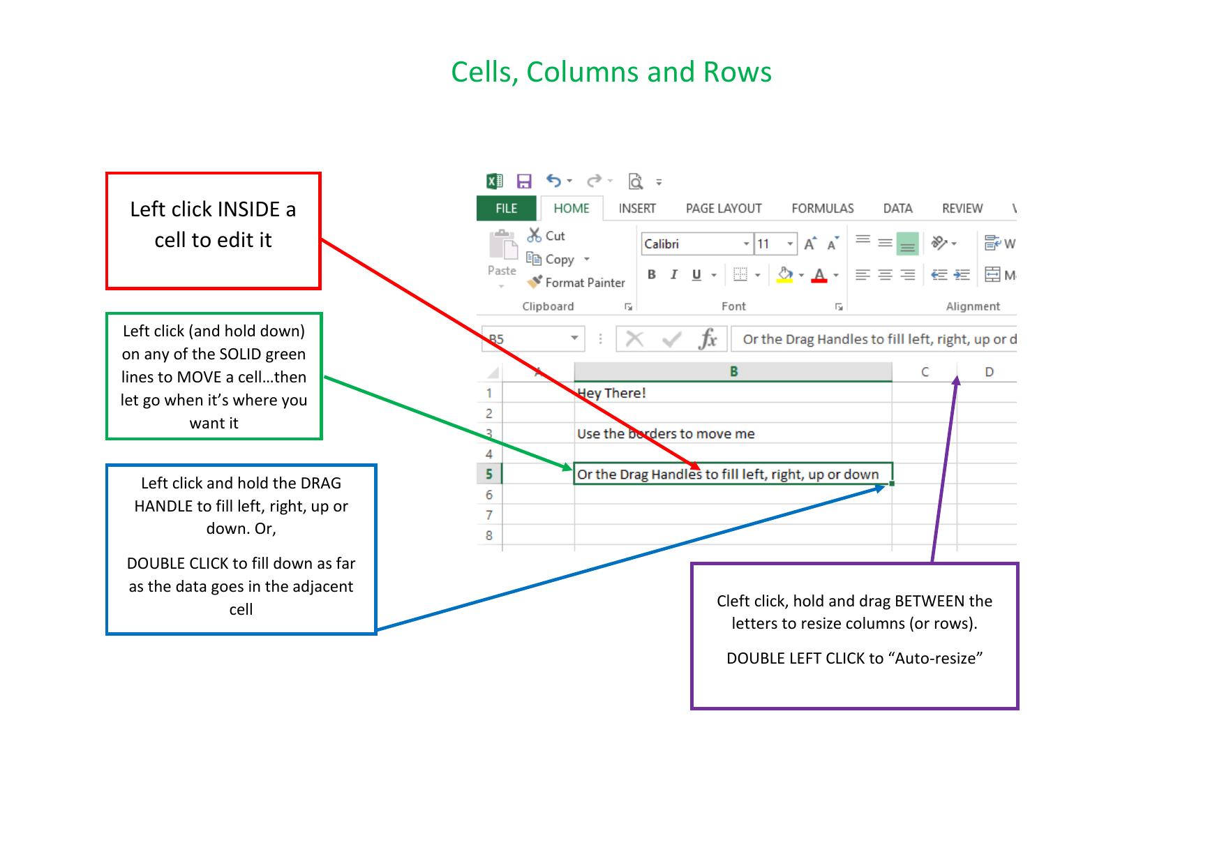1.1 Cells, Columns and Rows.pdf by Alan Jarvis