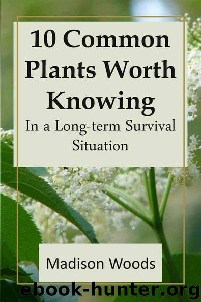 10 Common Plants Worth Knowing in a Long-term Survival Situation by Madison Woods