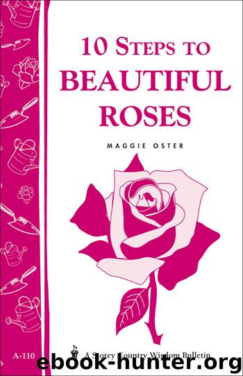 10 Steps to Beautiful Roses by Maggie Oster