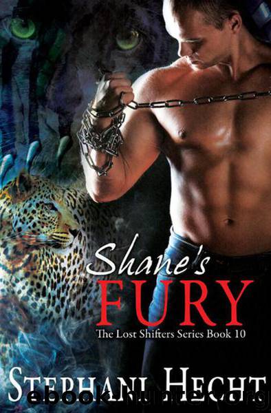 10-Shane's Fury by Stephani Hecht