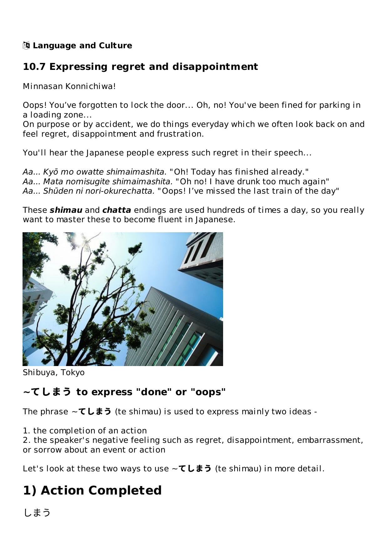 10.7 Expressing regret and disappointment Lesson | Rocket Japanese by Unknown