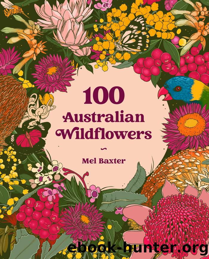 100 Australian Wildflowers by Baxter Mel;