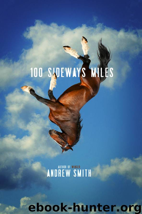 100 Sideways Miles by Smith Andrew