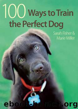 100 Ways to Train the Perfect Dog by Sarah Fisher