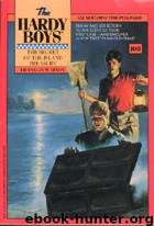 100-The Secret of the Island Treasure by Franklin W. Dixon
