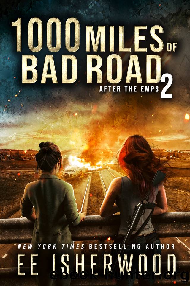 1000 Miles of Bad Road 2: After the EMPs by EE Isherwood