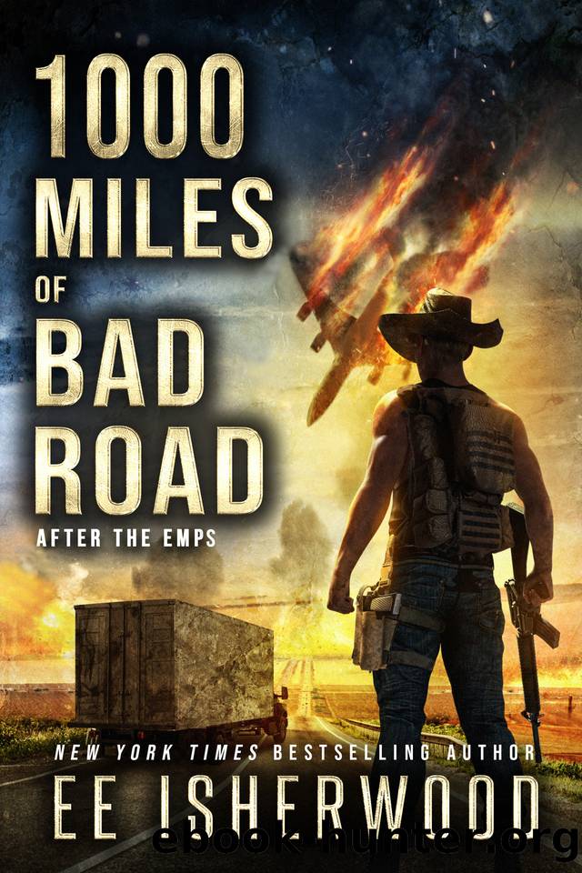 1000 Miles of Bad Road: After the EMPs by EE Isherwood