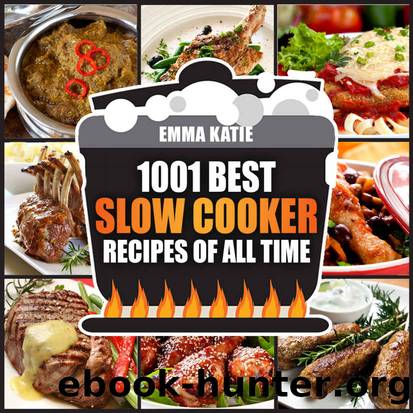 1001 Best Slow Cooker Recipes of All Time: A Slow Cooking Cookbook with Over 1001 Recipes Book for Healthy Electric Pressure Instant Pot Crock Pot Breakfast, Lunch and Dinner Meals by Emma Katie