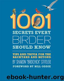 1001 Secrets Every Birder Should Know by Sharon Stiteler