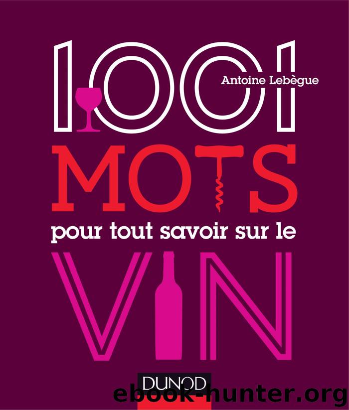 1001 mots pour tout savoir sur le vin by Antoine Lebègue