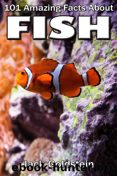 101 Amazing Facts about Fish by Jack Goldstein