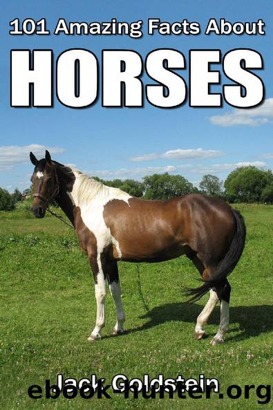 101 Amazing Facts about Horses by Jack Goldstein