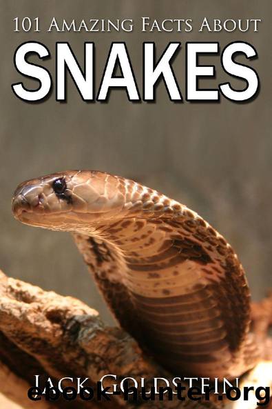 101 Amazing Facts about Snakes by Jack Goldstein