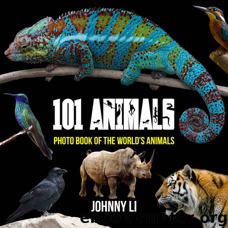 101 Animals: Photo Book of the World's Animals by Johnny Li