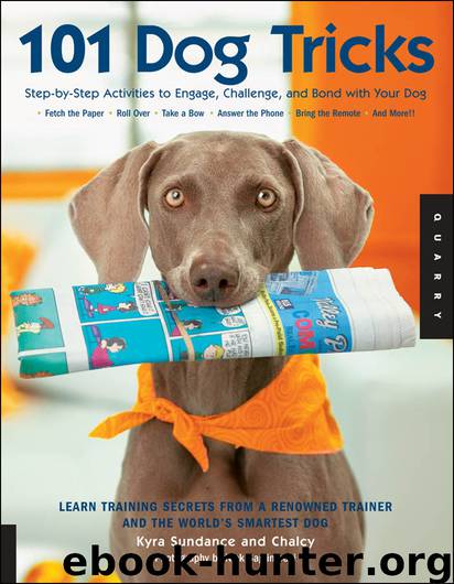 101 Dog Tricks by Kyra Sundance