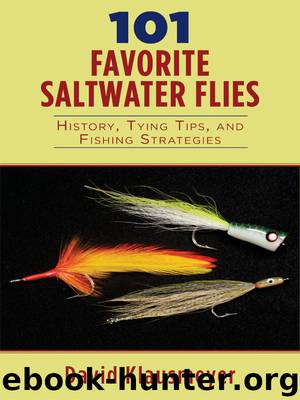 101 Favorite Saltwater Flies by David Klausmeyer