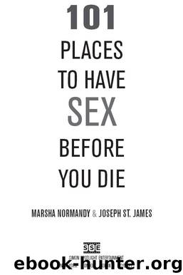 101 Places to Have Sex Before You Die by Marsha Normandy & Joseph St. James
