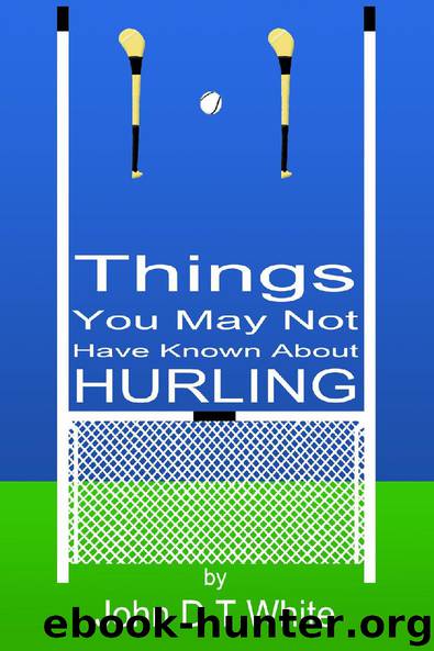 101 Things You May Not Have Known About Hurling by John DT White