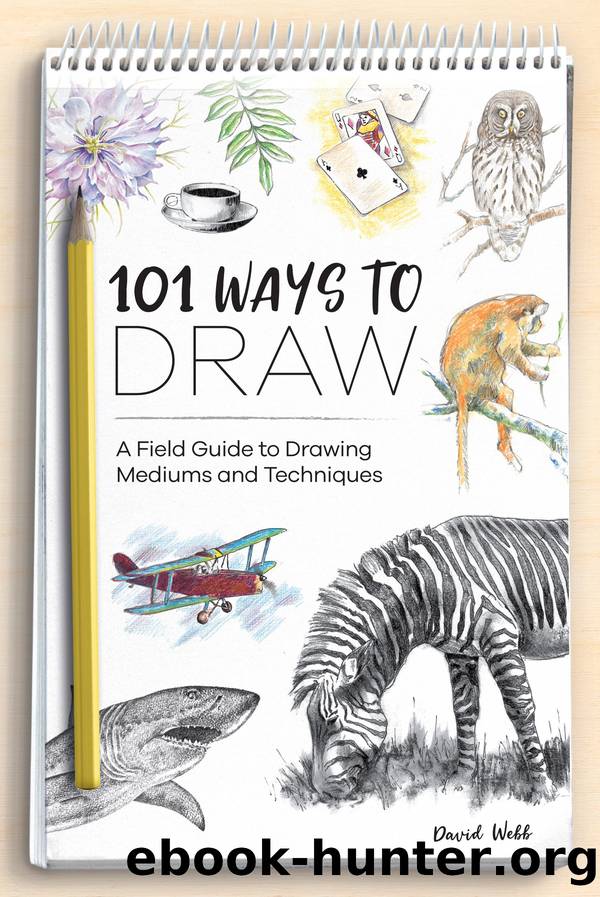 101 Ways to Draw by David Webb