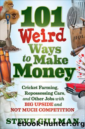 101 Weird Ways to Make Money by Steve Gillman
