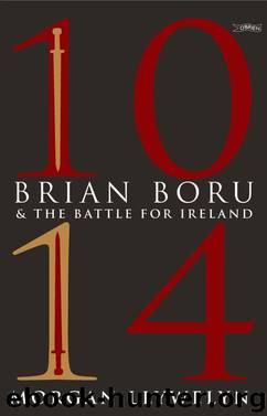 1014: Brian Boru and the Battle for Ireland by Morgan Llywelyn