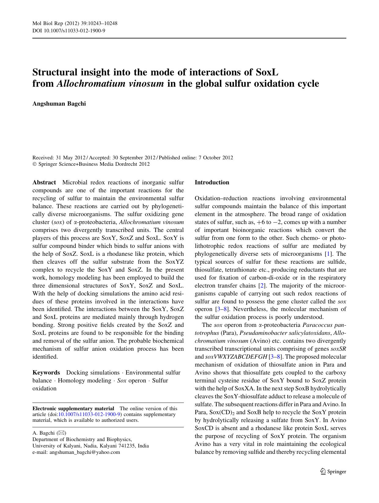 10243-10248 by Unknown