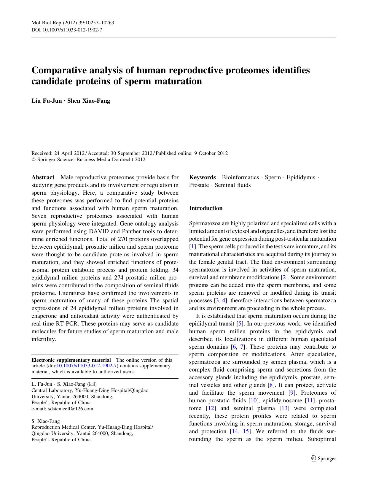 10257-10263 by Unknown