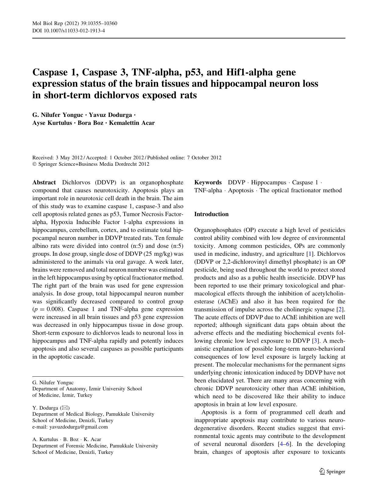 10355-10360 by Unknown