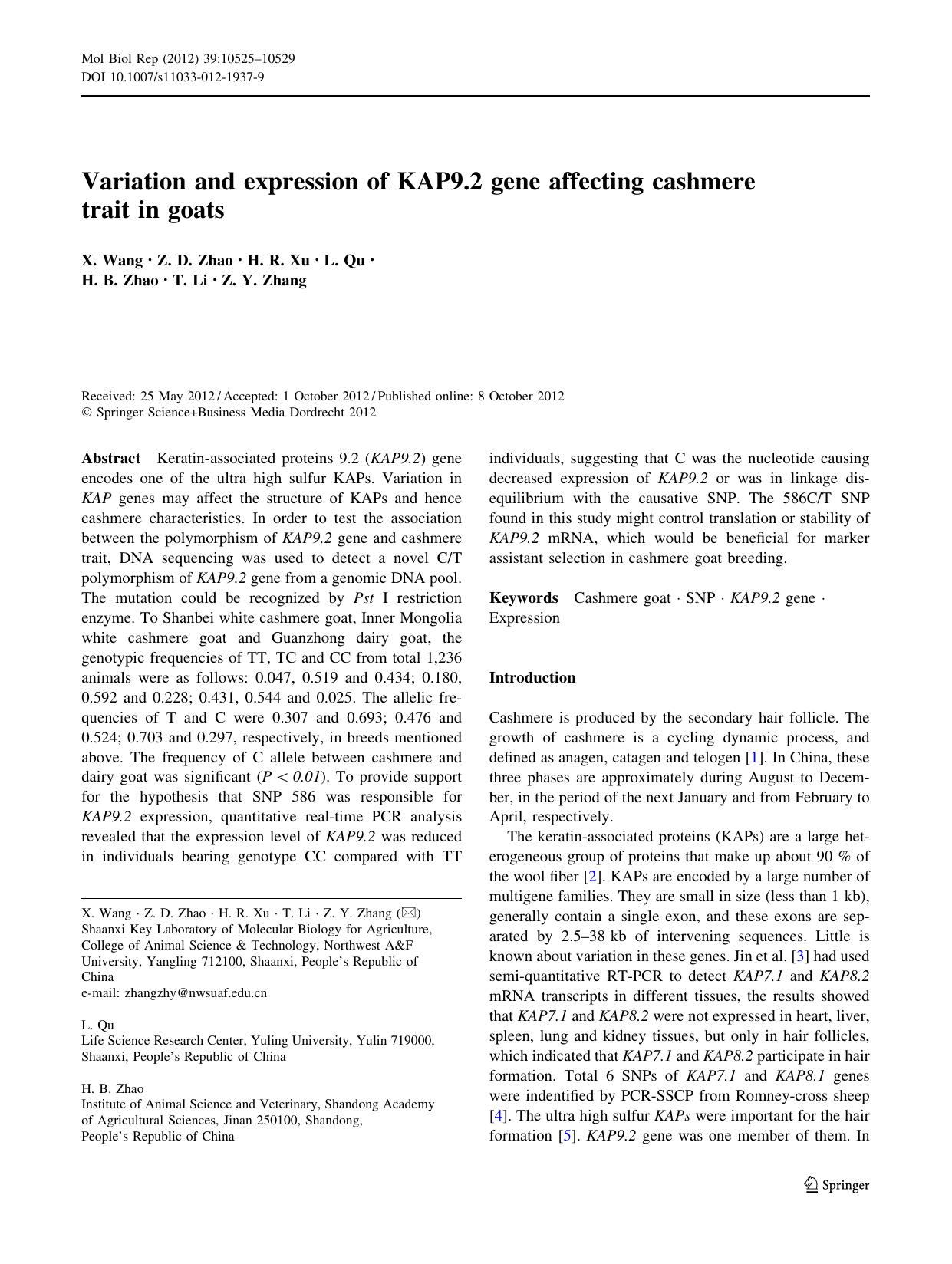 10525-10529 by Unknown