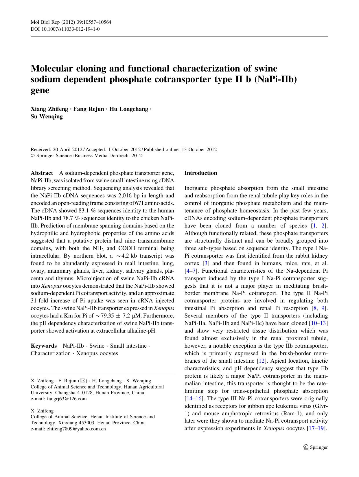 10557-10564 by Unknown