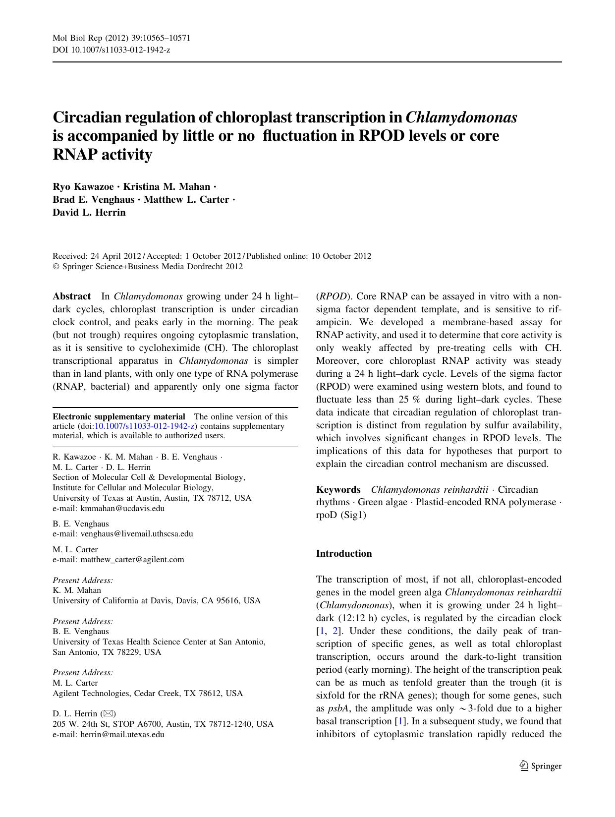 10565-10571 by Unknown