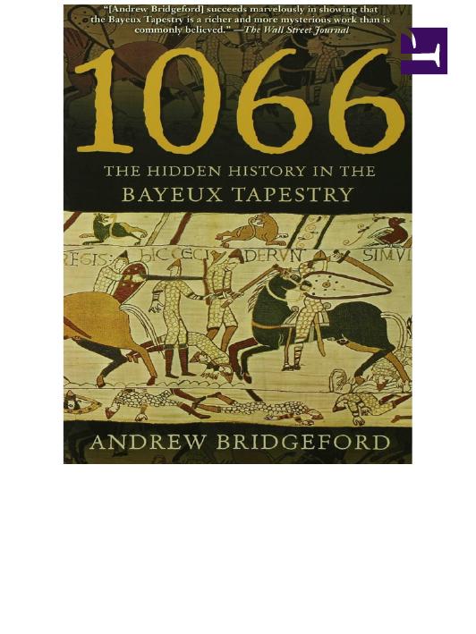 1066: The Hidden History in the Bayeux Tapestry by Andrew Bridgeford