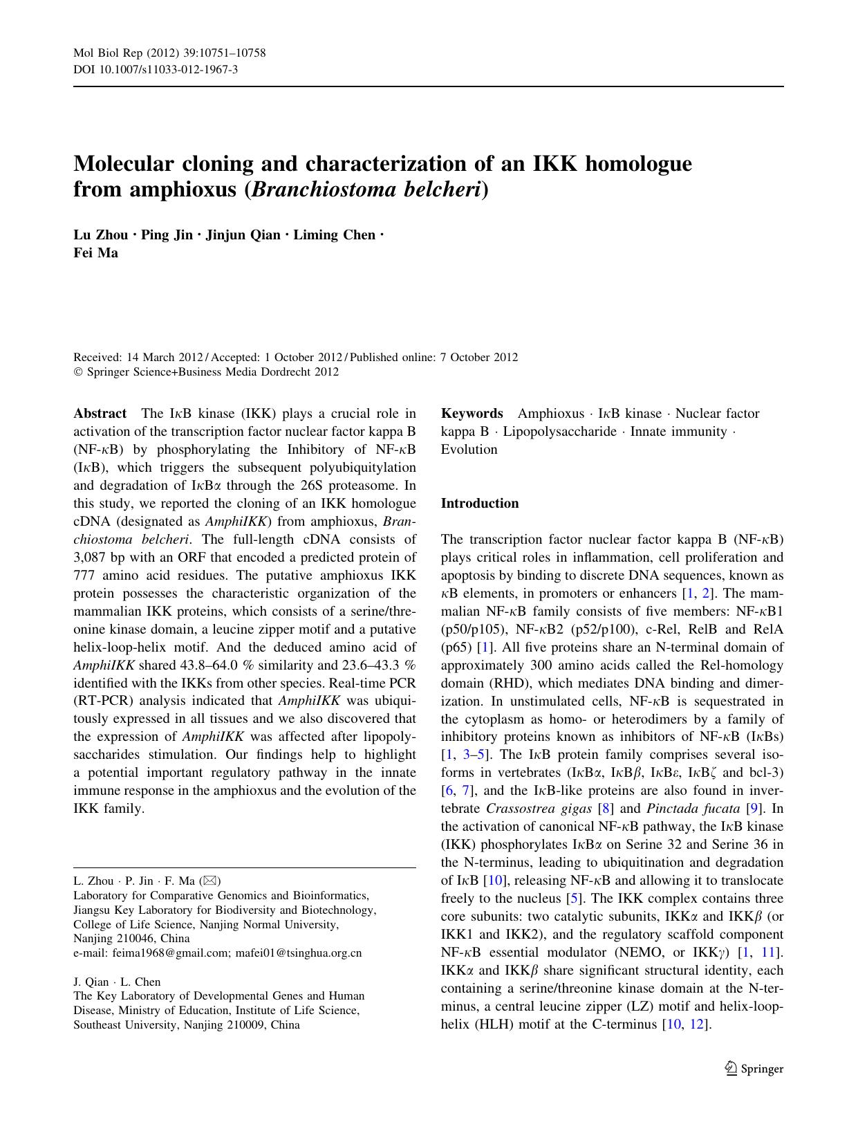 10751-10758 by Unknown