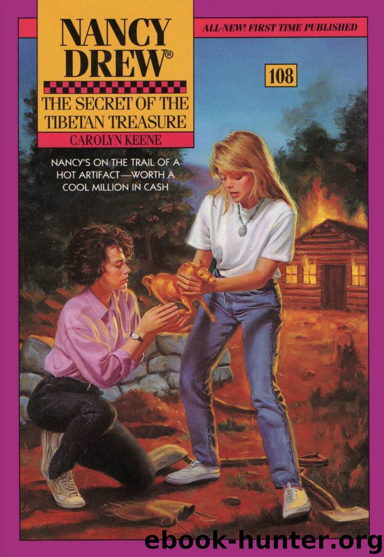 108 The Secret of the Tibetan Treasure by Carolyn Keene