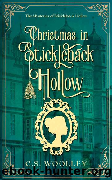 11 - Christmas in Stickleback Hollow by Woolley C S