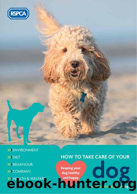 11. How to Take Care of your Dog author RSPCA by Unknown